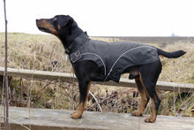 Dog Winter Jacket w/ Fleece Black, XS - 4XL - Perfect for the Outdoor Enthusiast