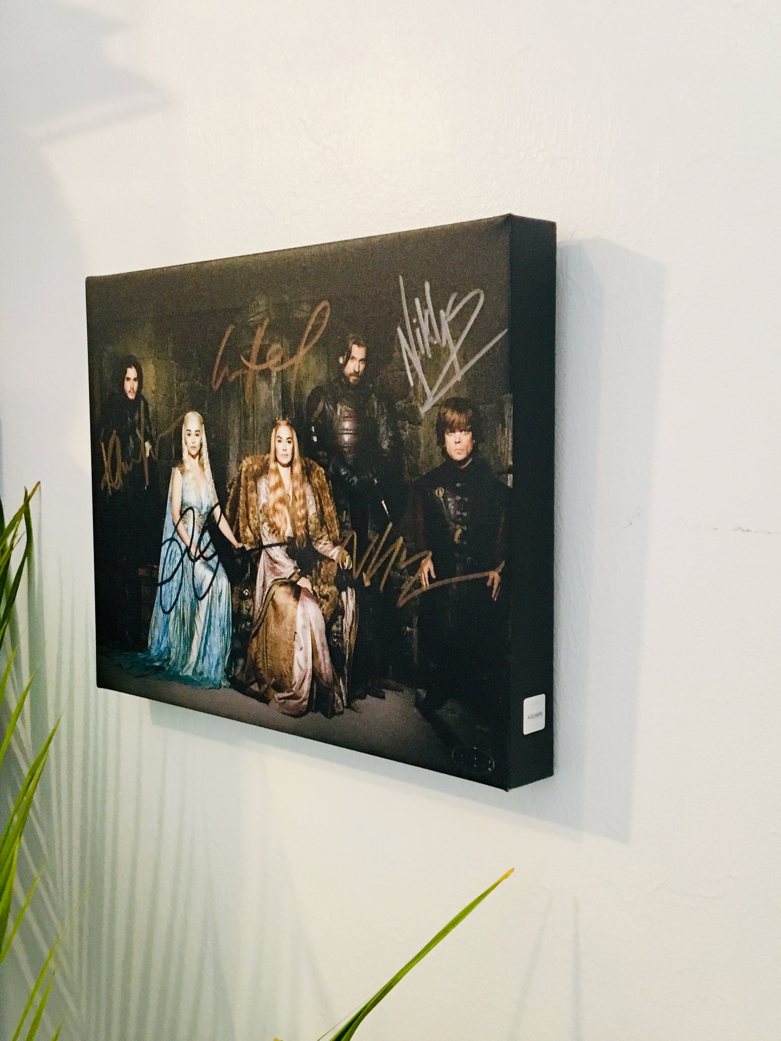 Game of Thrones Cast Facsimile Autograph 11x14 Canvas Print Wall Art –  Score Authentics
