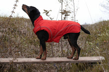 Warm Winter Coat for Dogs w/ Fleece Lining, Red, XS - 4XL