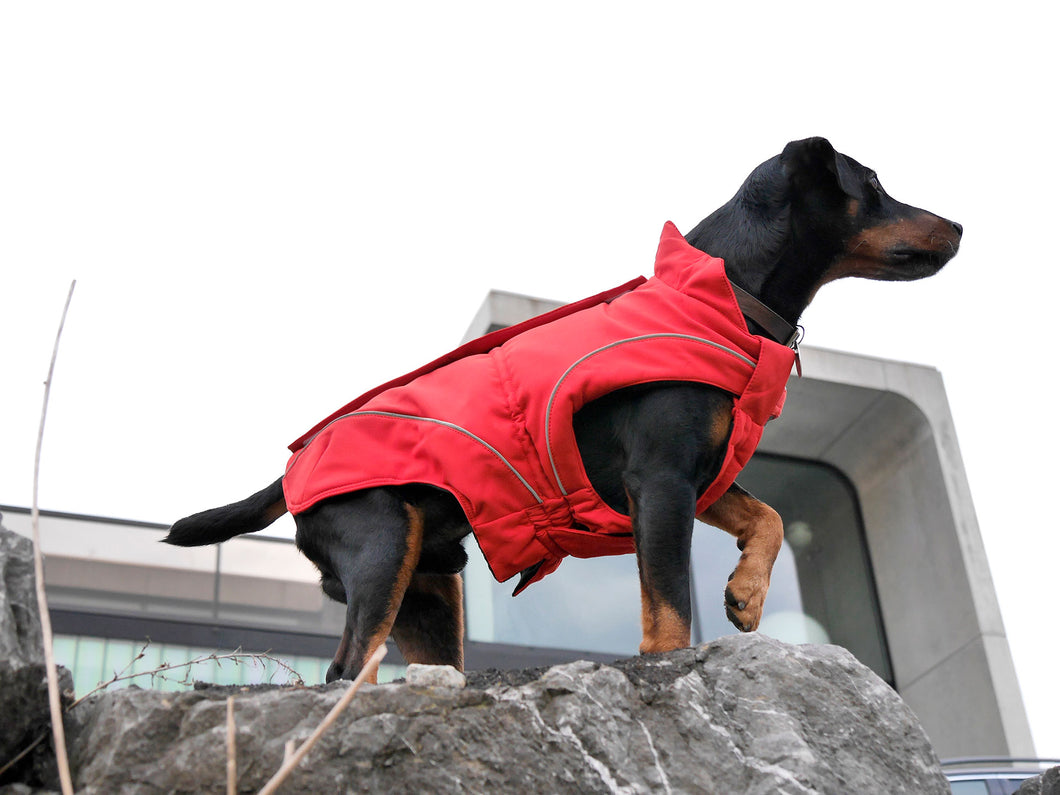 Dog Winter Jacket Red Soft-Shell w/ Fleece Lining - Perfect for the Outdoor Enthusiast