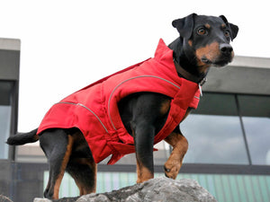 Warm Winter Coat for Dogs w/ Fleece Lining, Red, XS - 4XL