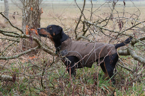 Rain Jackets / All-Year Coats for Dogs, Brown, L to 4XL